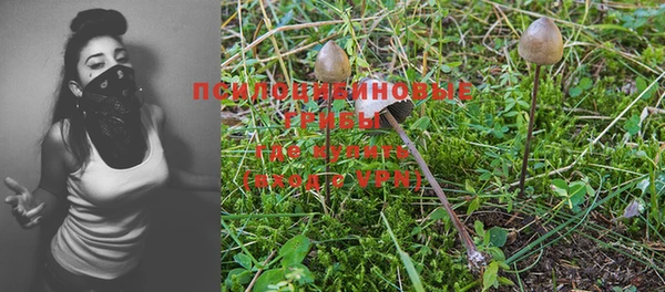 МДПВ Анжеро-Судженск